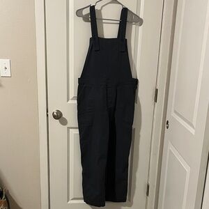 Patagonia Women's Dark Overalls